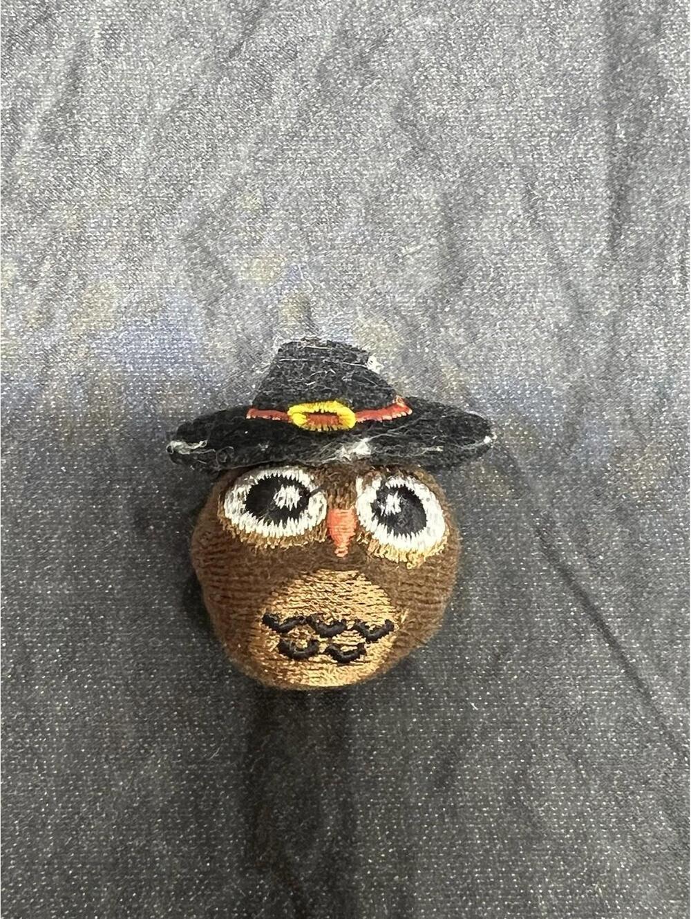 Owl Wearing Witch Hat Halloween Decoration.